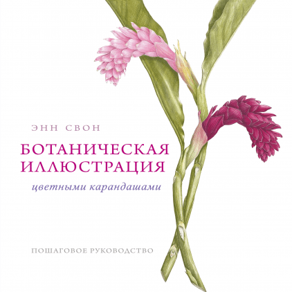 Ботанічна ілюстрація кольоровими олівцями